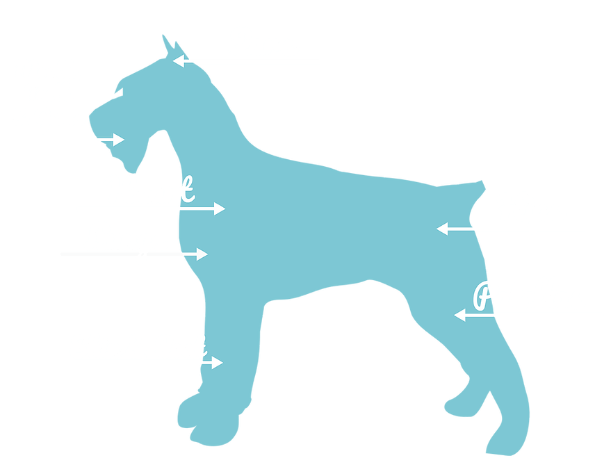 Miniature Schnauzer health diagram