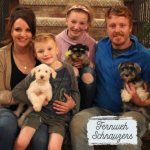 Nashville miniature schnauzer puppies for sale