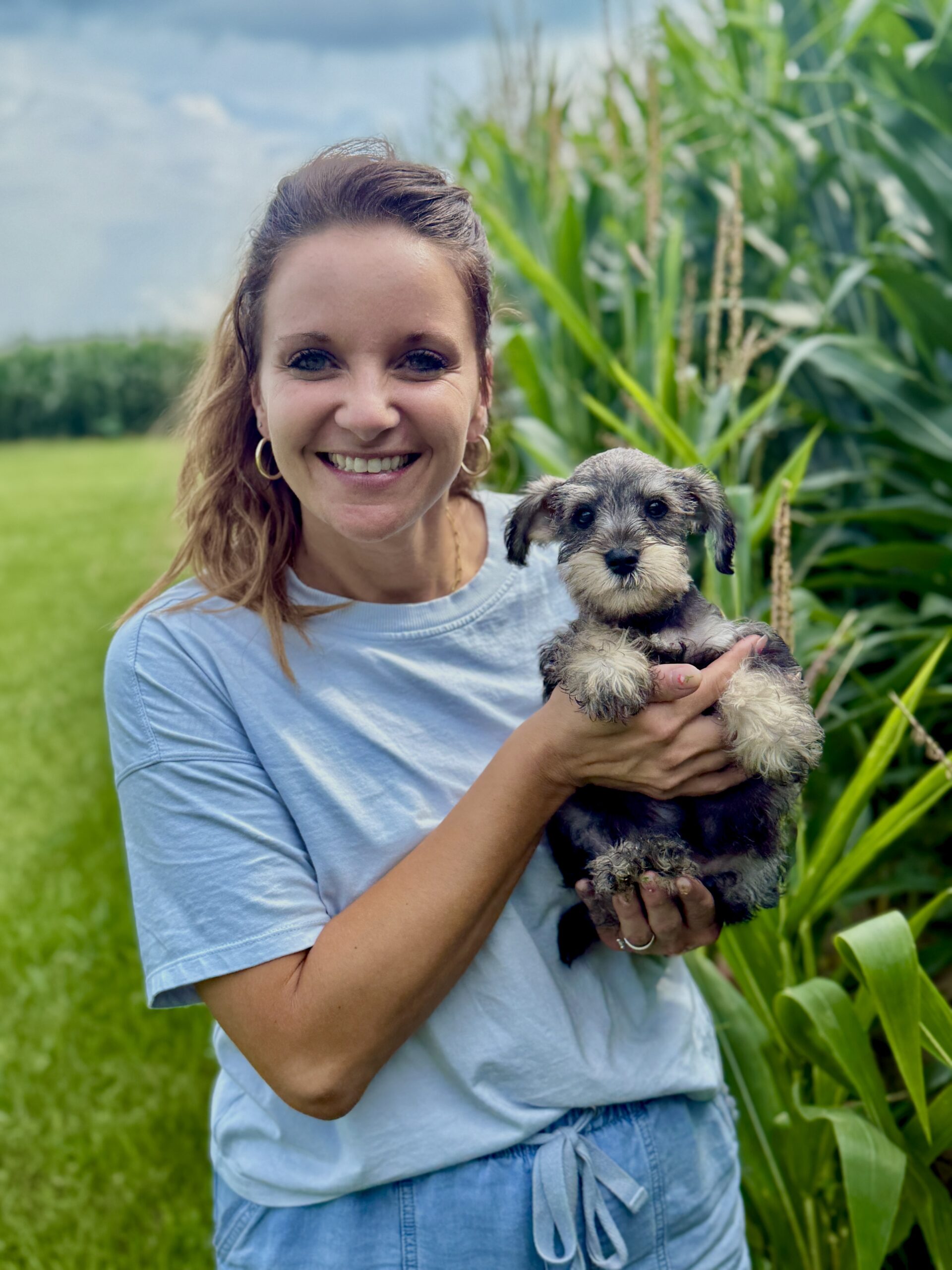 Miniature Schnauzer Breeder